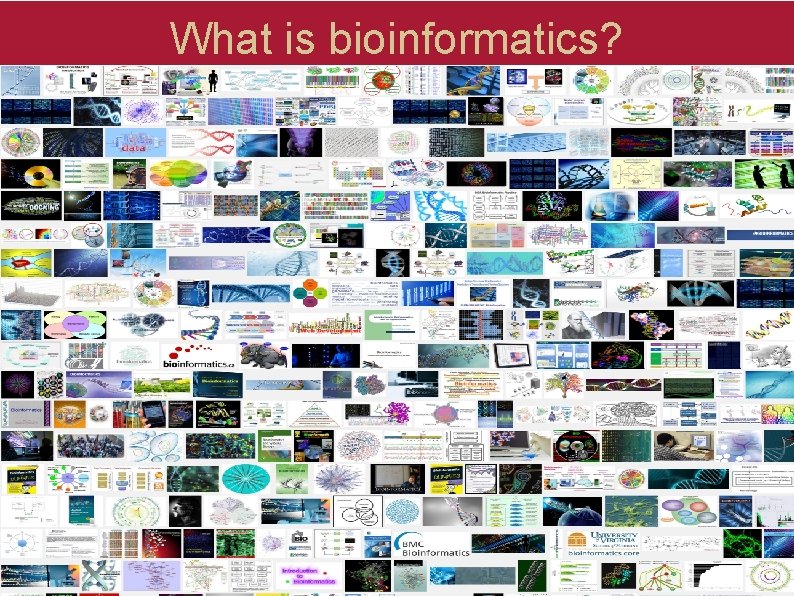What is bioinformatics? What is bioinformatics?
