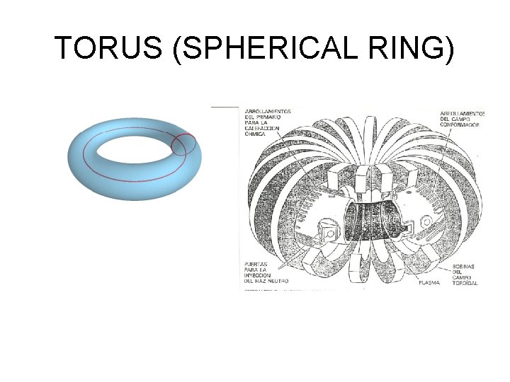 TORUS (SPHERICAL RING) 