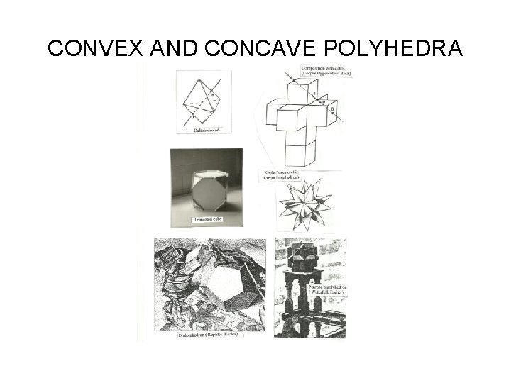 CONVEX AND CONCAVE POLYHEDRA 