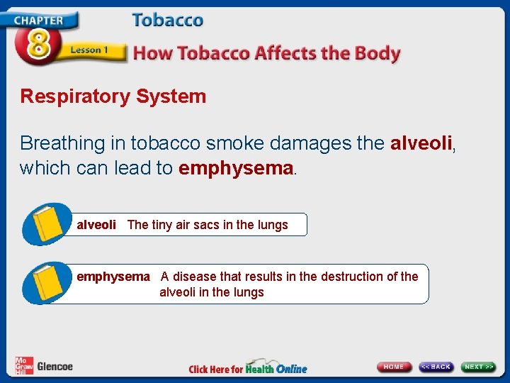 Respiratory System Breathing in tobacco smoke damages the alveoli, which can lead to emphysema.