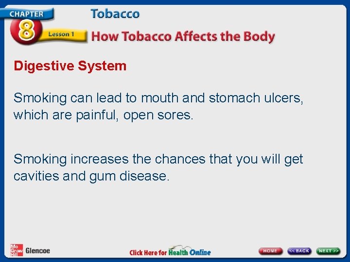 Digestive System Smoking can lead to mouth and stomach ulcers, which are painful, open
