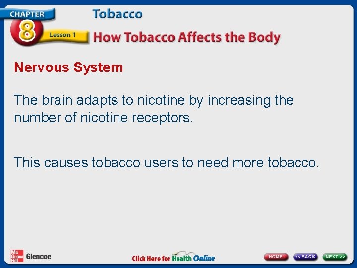 Nervous System The brain adapts to nicotine by increasing the number of nicotine receptors.