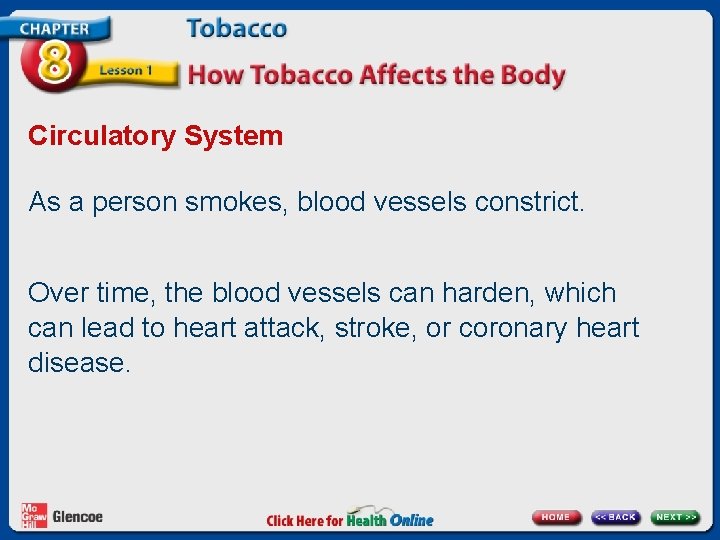Circulatory System As a person smokes, blood vessels constrict. Over time, the blood vessels