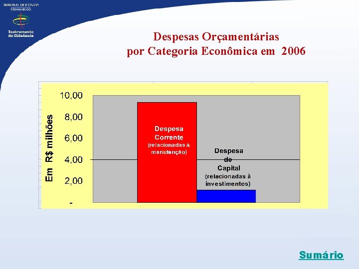 Despesas Orçamentárias por Categoria Econômica em 2006 Sumário 