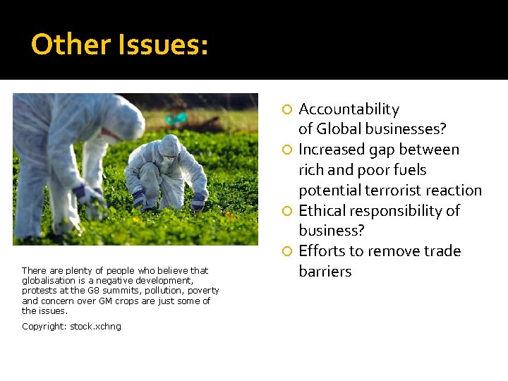Other Issues: Accountability of Global businesses? Increased gap between rich and poor fuels potential