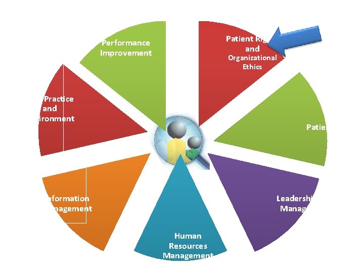 Patient Rights and Performance Improvement Organizational Ethics Safe Practice and Environment Patient Care Leadership