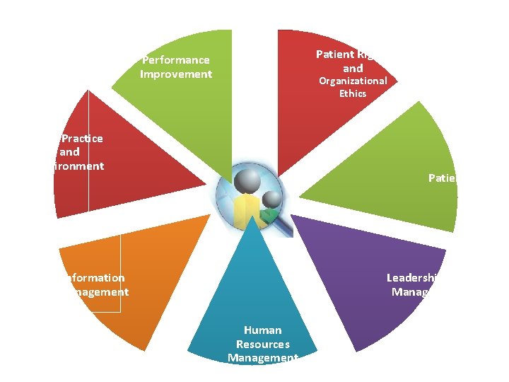 Patient Rights and Performance Improvement Organizational Ethics Safe Practice and Environment Patient Care Leadership