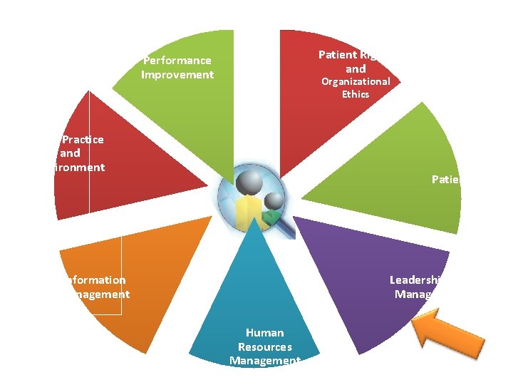 Patient Rights and Performance Improvement Organizational Ethics Safe Practice and Environment Patient Care Leadership