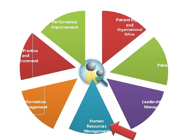 Patient Rights and Performance Improvement Organizational Ethics Safe Practice and Environment Patient Care Leadership