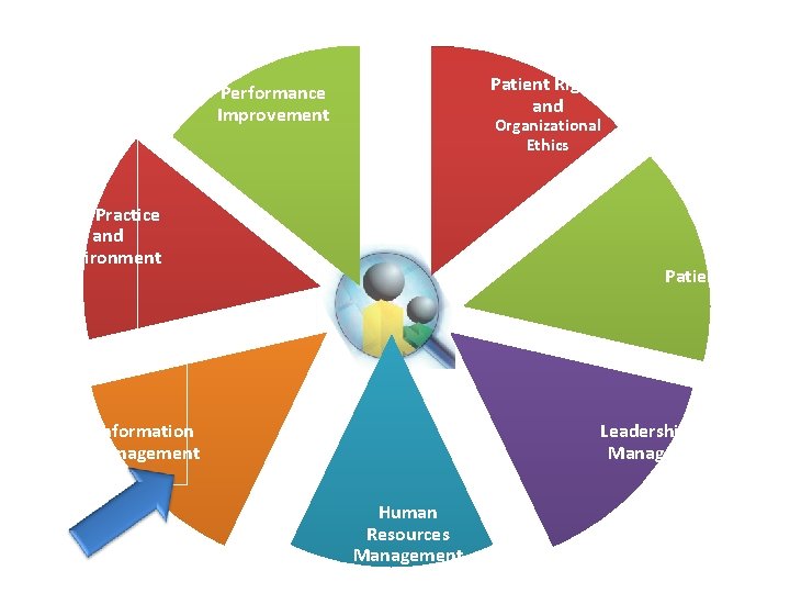 Patient Rights and Performance Improvement Organizational Ethics Safe Practice and Environment Patient Care Leadership