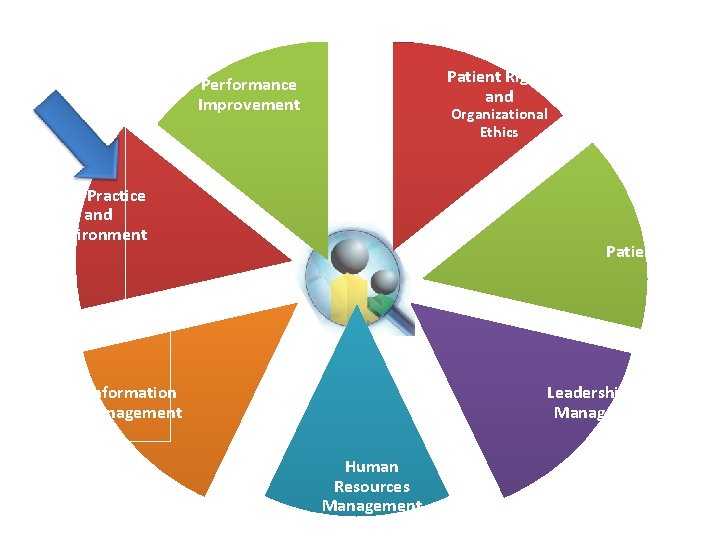 Patient Rights and Performance Improvement Organizational Ethics Safe Practice and Environment Patient Care Leadership