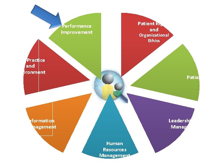 Patient Rights and Performance Improvement Organizational Ethics Safe Practice and Environment Patient Care Leadership