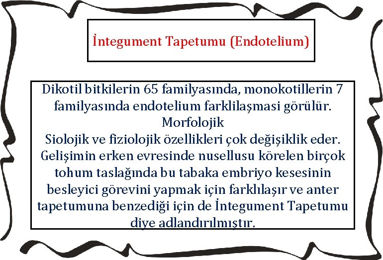 İntegument Tapetumu (Endotelium) Dikotil bitkilerin 65 familyasında, monokotillerin 7 familyasında endotelium farklilaşmasi görülür. Morfolojik