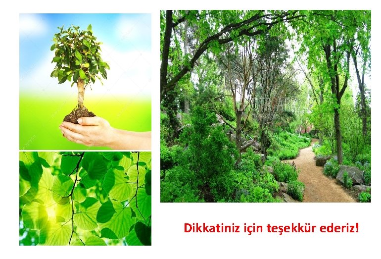 Dikkatiniz için teşekkür ederiz! 