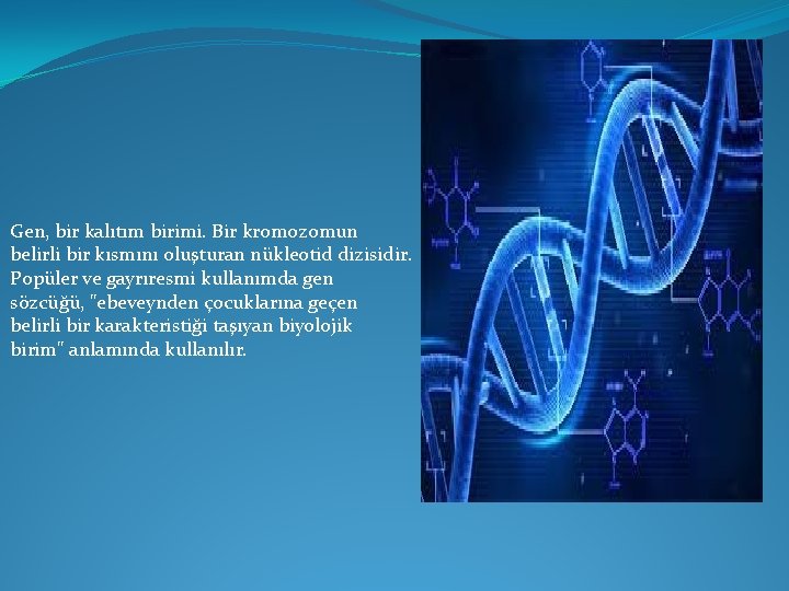 Gen, bir kalıtım birimi. Bir kromozomun belirli bir kısmını oluşturan nükleotid dizisidir. Popüler ve