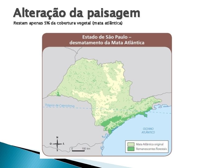 Alteração da paisagem Restam apenas 5% da cobertura vegetal (mata atlântica) 