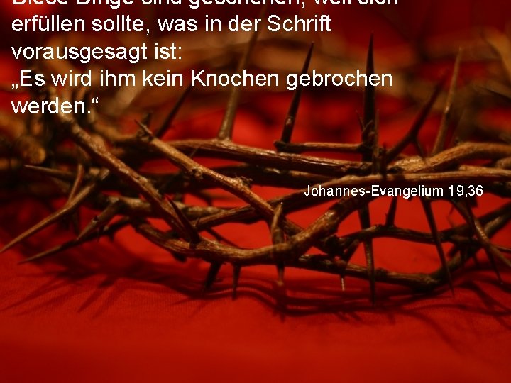 Diese Dinge sind geschehen, weil sich erfüllen sollte, was in der Schrift vorausgesagt ist: