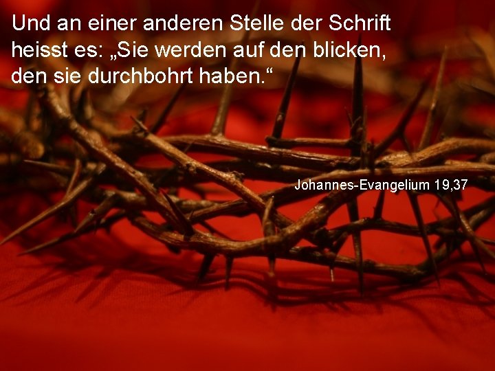 Und an einer anderen Stelle der Schrift heisst es: „Sie werden auf den blicken,