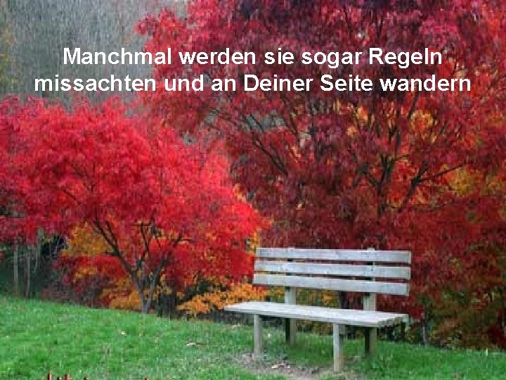 Manchmal werden sie sogar Regeln missachten und an Deiner Seite wandern 