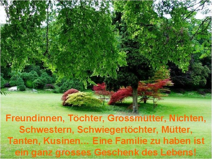 Freundinnen, Töchter, Grossmütter, Nichten, Schwestern, Schwiegertöchter, Mütter, Tanten, Kusinen… Eine Familie zu haben ist