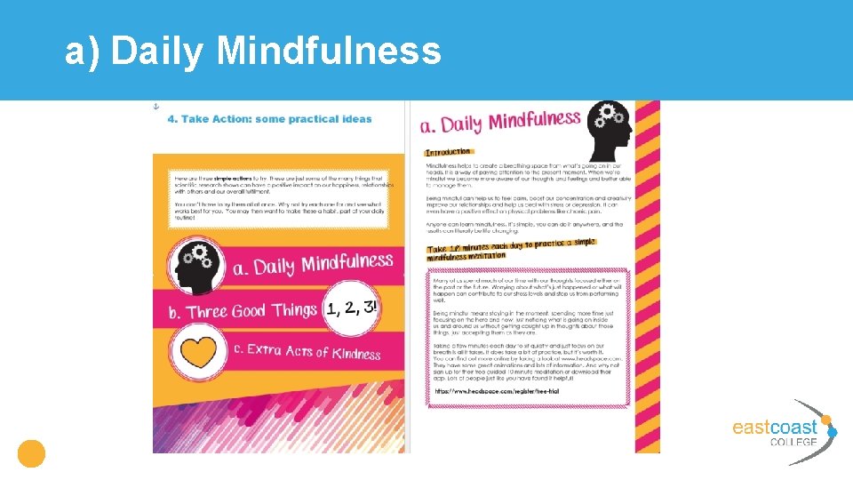 a) Daily Mindfulness 