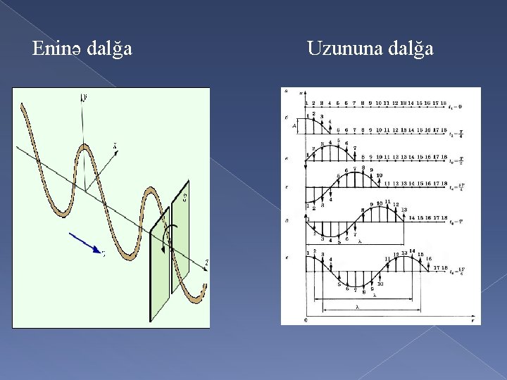  Eninə dalğa Uzununa dalğa 