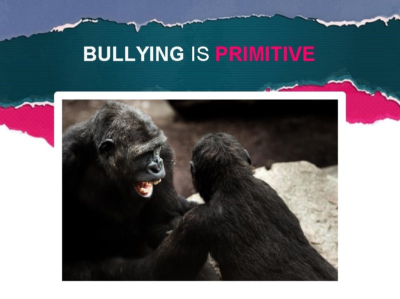 BULLYING IS PRIMITIVE 