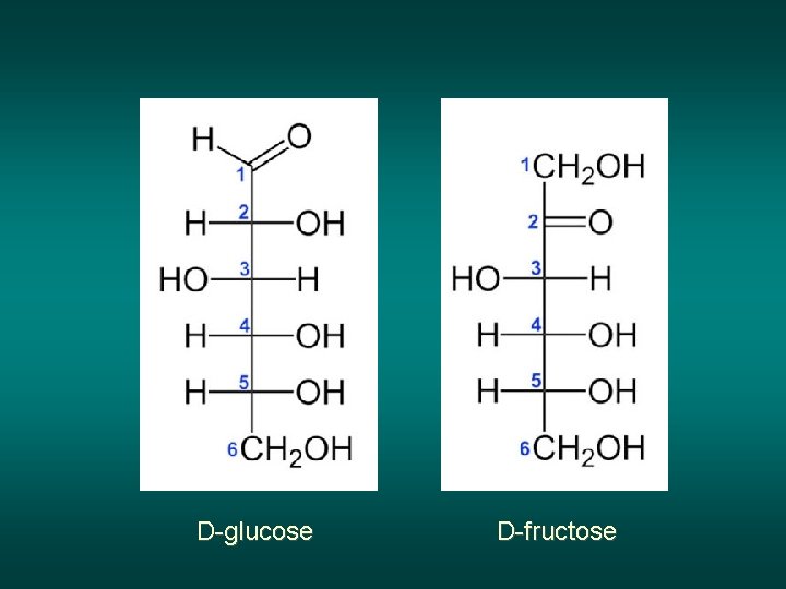 D-glucose D-fructose 