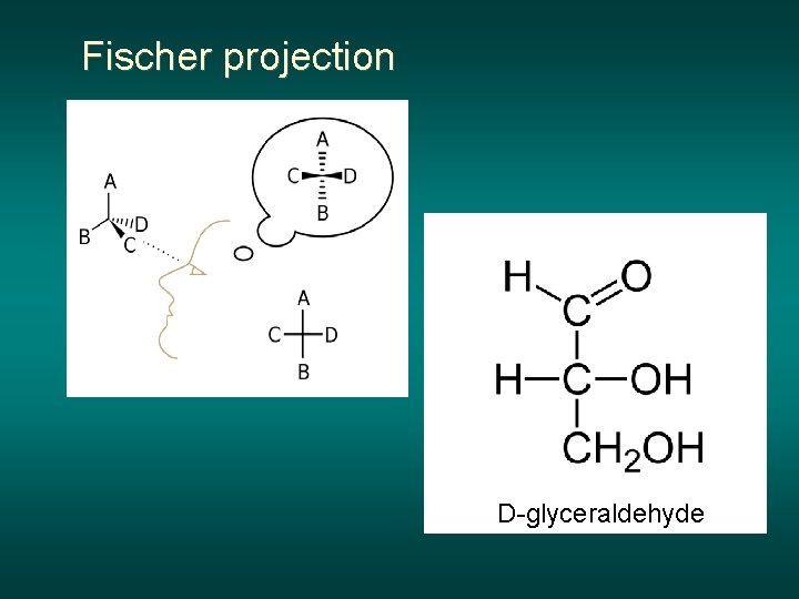 Fischer projection D-glyceraldehyde 