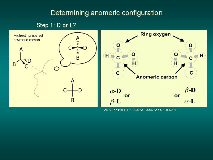 Determining anomeric configuration Step 1: D or L? Highest numbered asymeric carbon Lee &