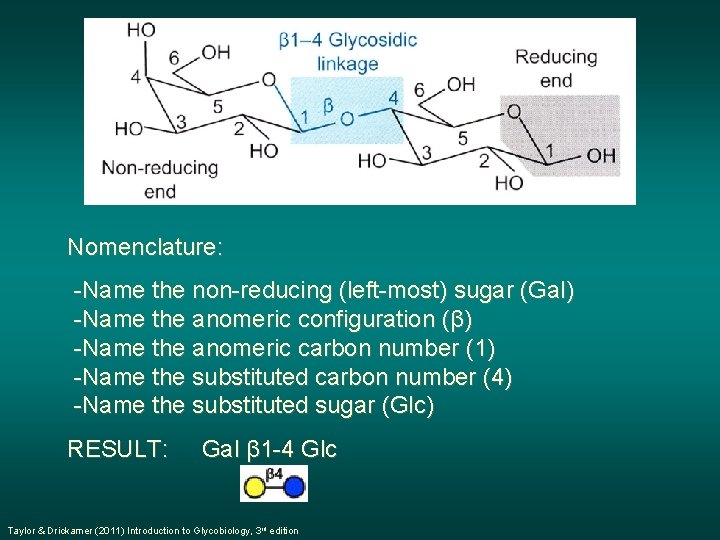 Nomenclature: -Name the non-reducing (left-most) sugar (Gal) -Name the anomeric configuration (β) -Name the