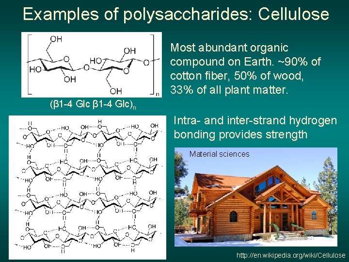 Examples of polysaccharides: Cellulose Most abundant organic compound on Earth. ~90% of cotton fiber,