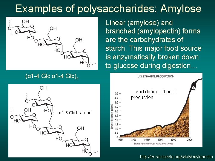 Examples of polysaccharides: Amylose Linear (amylose) and branched (amylopectin) forms are the carbohydrates of