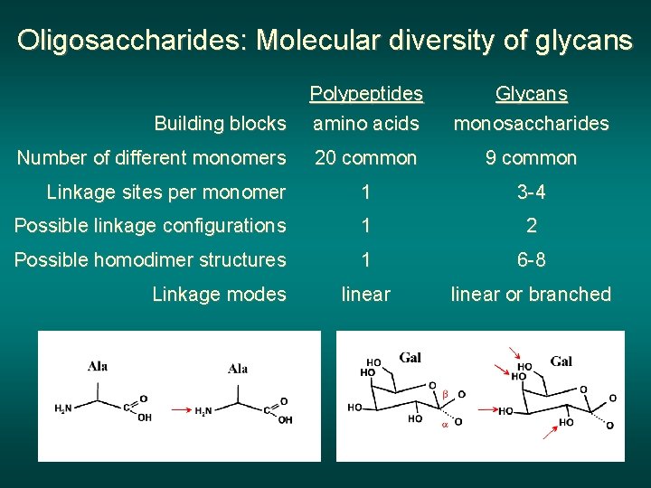 Oligosaccharides: Molecular diversity of glycans Building blocks Polypeptides amino acids Glycans monosaccharides Number of