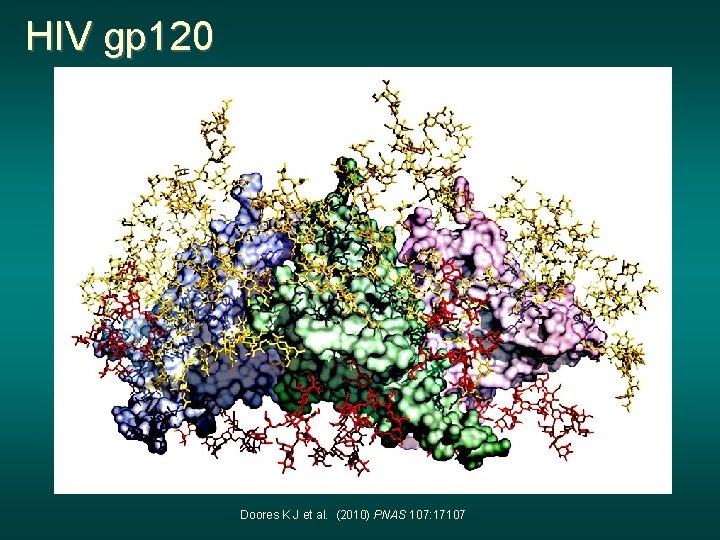 HIV gp 120 Doores K J et al. (2010) PNAS 107: 17107 