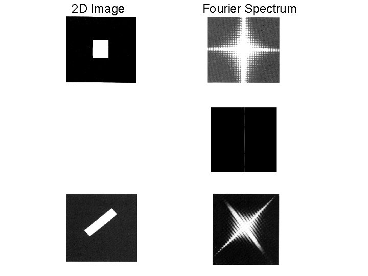 2 D Image Fourier Spectrum 