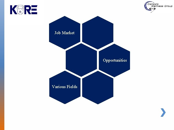 Job Market Opportunities Various Fields 