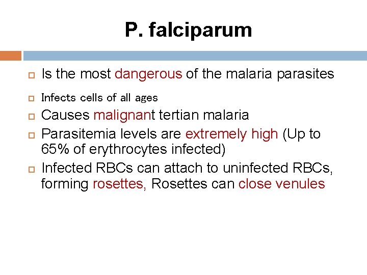 P. falciparum Is the most dangerous of the malaria parasites Infects cells of all