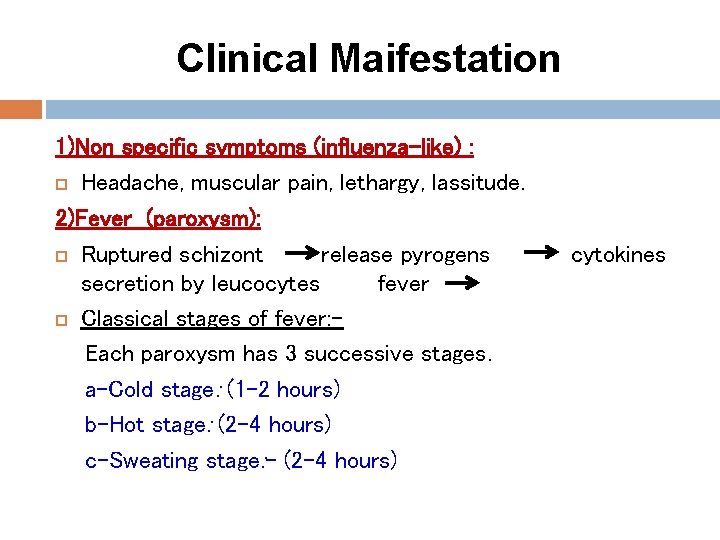 Clinical Maifestation 1)Non specific symptoms (influenza-like) : Headache, muscular pain, lethargy, lassitude. 2)Fever (paroxysm):