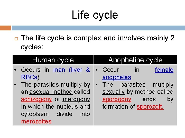 Life cycle The life cycle is complex and involves mainly 2 cycles: Human cycle
