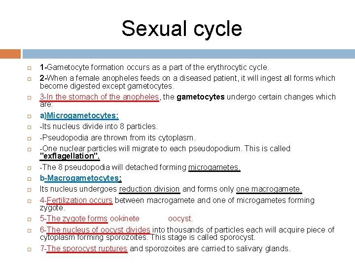 Sexual cycle 1 -Gametocyte formation occurs as a part of the erythrocytic cycle. 2