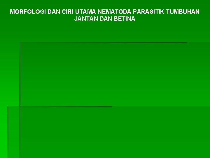 MORFOLOGI DAN CIRI UTAMA NEMATODA PARASITIK TUMBUHAN JANTAN DAN BETINA 