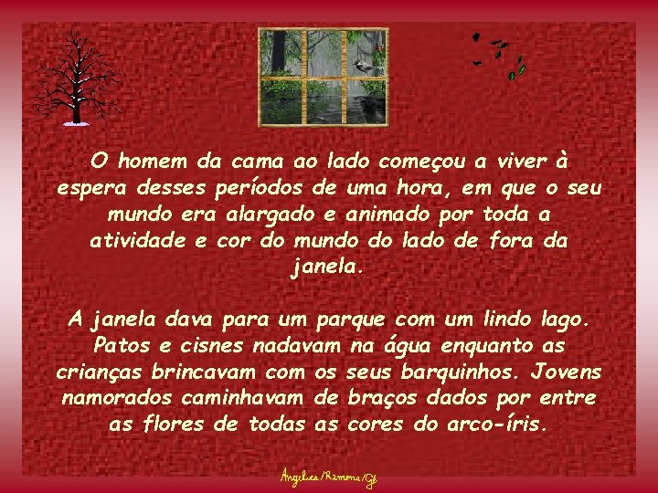 O homem da cama ao lado começou a viver à espera desses períodos de
