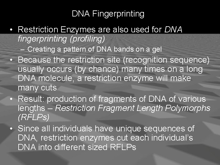 DNA Fingerprinting • Restriction Enzymes are also used for DNA fingerprinting (profiling) – Creating