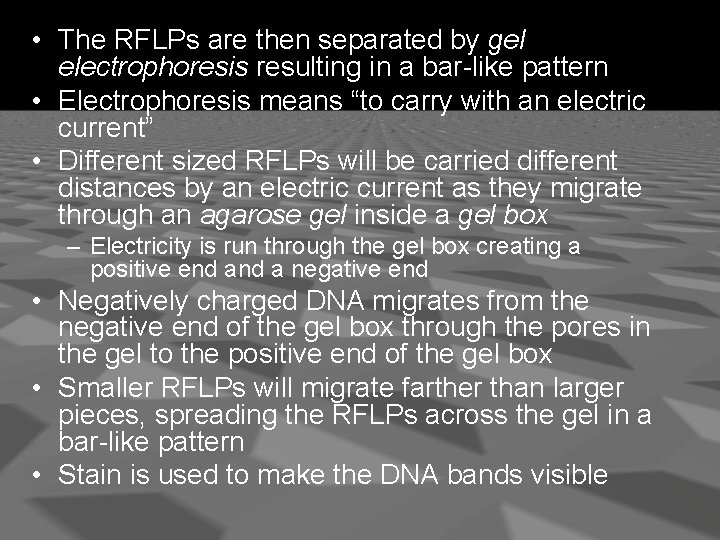  • The RFLPs are then separated by gel electrophoresis resulting in a bar-like
