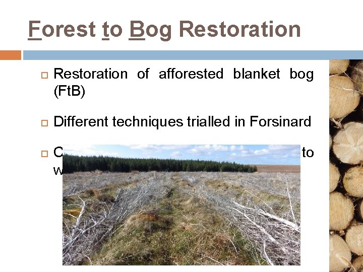 Forest to Bog Restoration of afforested blanket bog (Ft. B) Different techniques trialled in