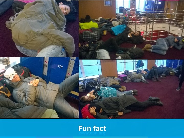Fun fact www. esn. org 