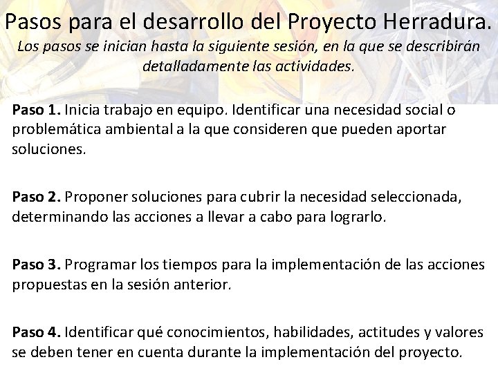 Pasos para el desarrollo del Proyecto Herradura. Los pasos se inician hasta la siguiente