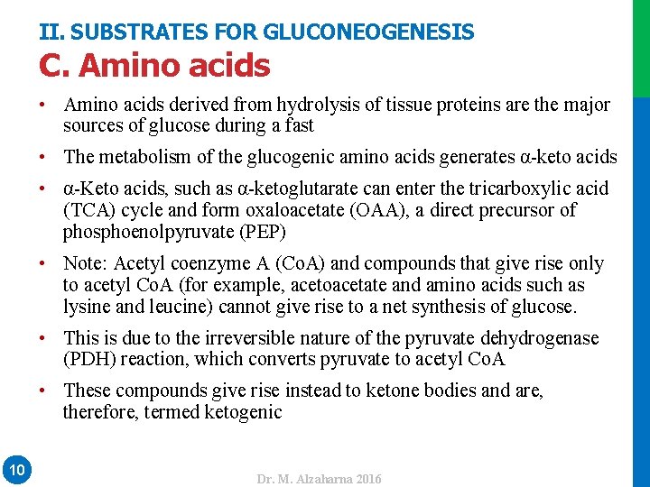 II. SUBSTRATES FOR GLUCONEOGENESIS C. Amino acids • Amino acids derived from hydrolysis of