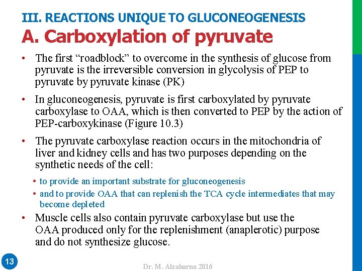 III. REACTIONS UNIQUE TO GLUCONEOGENESIS A. Carboxylation of pyruvate • The first “roadblock” to